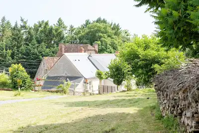 Image de Le fil du cep