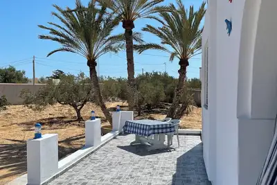 Image de Dar Zaara 💙