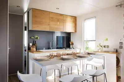 Image de Mobil home 7 pers avec terrasse à Salles-Curan