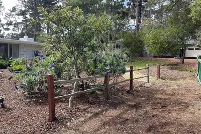 Image de Tranquil 3-bedroom house in Del Monte Forest