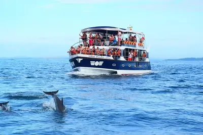 Image de Watch The Real Whale Paradise On Earth