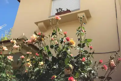 Image de Villa 'Bairro' avec Terrasse Privée, Jardin Privé et Wi-Fi