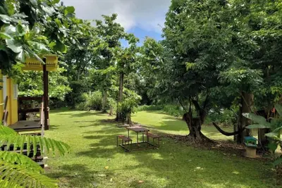 Image de The Casita Amarilla del Yunque & Buena Vibra