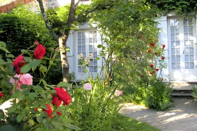 Image de Appartement 'Studio' avec terrasse privée et jardin commun