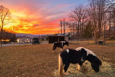 Image de Cabin w/ Mini Horses, Fire Pit, Hot Tub, Mtn Views