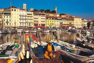 Image de Sublime appartement à 100m de la Croisette