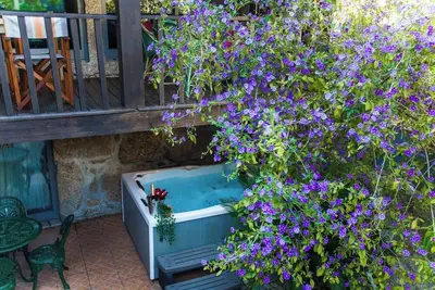 Image de Pedra Bela - Cozy House Private Jacuzzi @Gerês