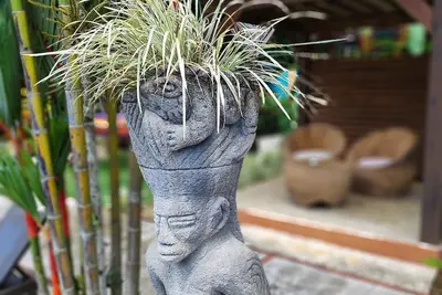 Image de Stylish Colorful & Cozy Tropical Private Bedroom