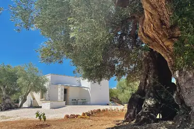 Image de Newly renovated Lamia surrounded by olive trees and Mediterranean vegetation
