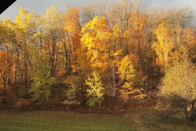 Image de Cozy 1-bedroom resort in charming Boyne Falls with Ac, fitness room & pool