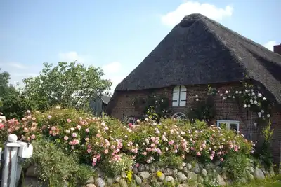 Image de Vacation apartment/apartment for 5 guests with 50m² in Emmelsbüll-Horsbüll (273602)