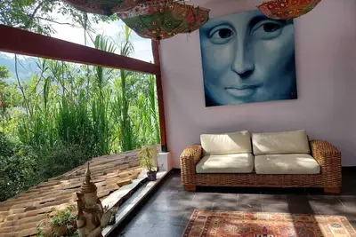 Image de Villa artistique et luxuriante avec jungle en ville