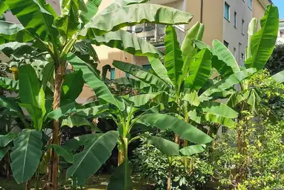 Image de House Rosy nice apartment for 4 people