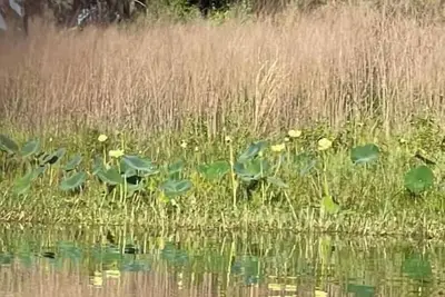 Image de Water's Edge - A Lakefront Oasis
