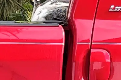 Image de Cool cottage with Ac in Keaau