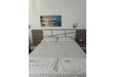 Image de 1 bedroom apartment with balcony - Apartments Subashi room 304 & 305