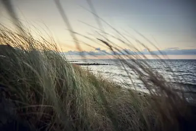 Image de Experience an unforgettable vacation in the modern Villa Gold I!