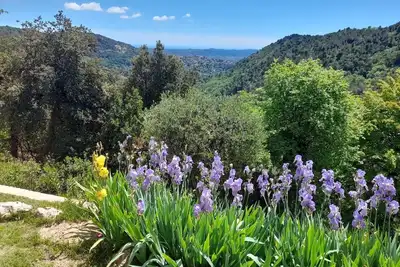 Image de A 36 sq. m self contained apartment with a magnificent view to the Mediterranean