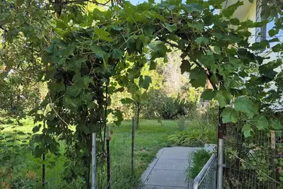 Image de Greenish-Acres Farmhouse