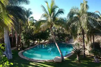 Image de Oasis in San Jose del Cabo: Jardin Tropical