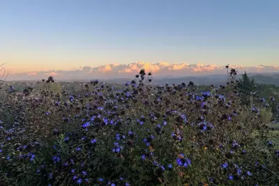 Image de Piedmont: Top Vacation Rental with Panoramic Views & Natural Pool