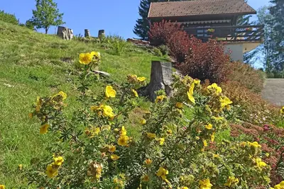 Image de Chalet de la Morille – 3★ confort, terrasse 30 m², vue montagne & nature