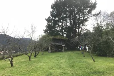 Image de On the west coast of Asturias, semi-detached house in the middle of nature.