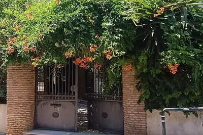 Image de Tranquil Athens Garden Apt|2bdr-2ba-a/c-near Metro