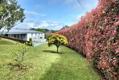 Image de Gallery 30. 4 bedroom villa, private pool and garden in Caminha Venade