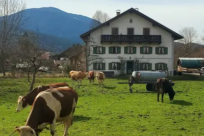 Image de Biohof Dimper - Holiday apartment 2