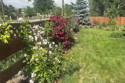 Image de Brilliant 4-bedroom house with Ac in Arvada! Family and Pet friendly,