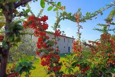Image de Farmhouse The Canticle of Tenderness