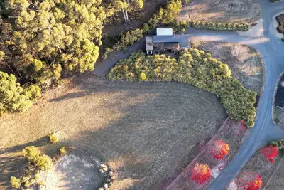 Image de Little Maple near Daylesford
