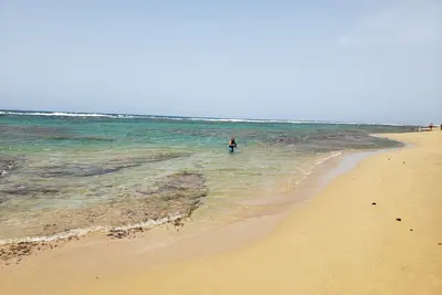 Image de Casa Amarena by Shacks Beach, Isabela, Pr