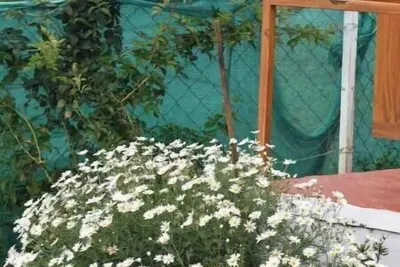 Image de Kathiresan's Diamond hill view cottage