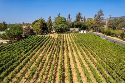 Image de Charming 2-bedroom vineyard house with upstairs Ac in Napa. 5 min from downtown