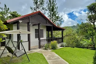 Image de Cabin among Pines: Pool w Heat, Fire Pit and Mini Golf, for couples and families