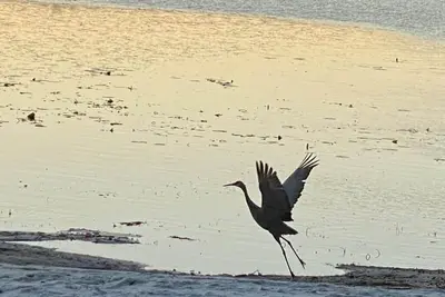 Image de Magical Tiger Lake Home near Rainbow Springs!
