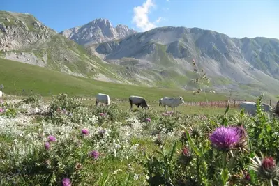 Image de The perfect place for a mountain and beach vacation!