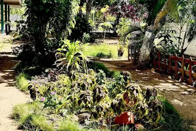 Image de Appartement de vacances pour 2 personnes  + 2 enfants env. 75 qmà Porlamar, côte caribéenne du Vénézuela (Île Margarita)