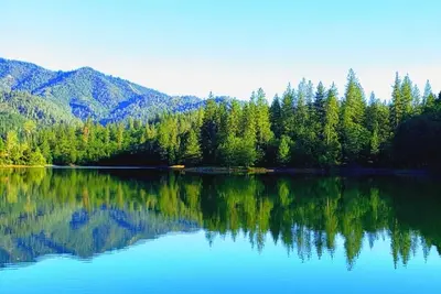 Image de Castle of Lake Shasta  - Direct Lake Elegance