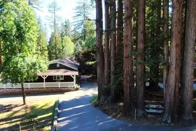 Image de 4bd/3ba Redwood Retreat w/pool