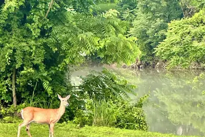 Image de Almost Heaven At The River: Riverfront Family Fun, Work Week, or Golf Retreat!