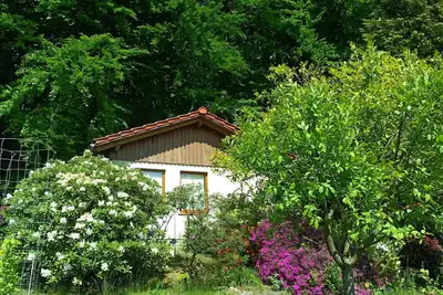 Image de Maison de vacances en lisière de forêt avec vue plein sud
