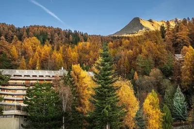 Image de Alpine Embrace - Cozy studio apartment