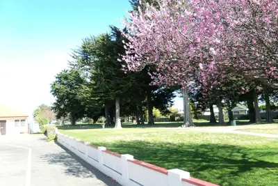 Image de Pet-Friendly Napier Nest Motel w/ Kitchenette