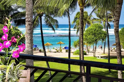 Image de Spring Reduced! Villa 305-306 OceanView Turtle Bay Beachfront