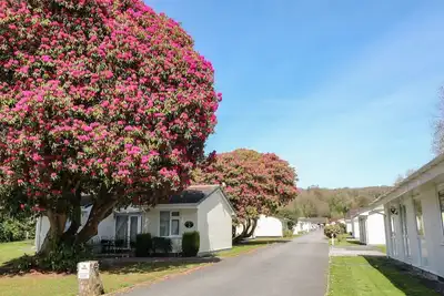 Image de Willow Lodge, pet friendly, character holiday cottage in Liskeard