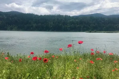 Image de Robyn's River Nest