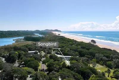 Image de #17 Tallow Sands - Songbird